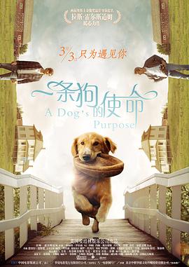 中文字幕亚洲在线